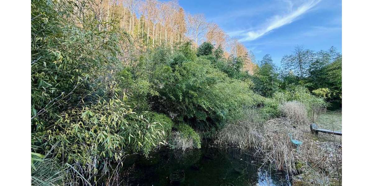 Einfamilienhaus Oberried - 11 Zimmer, 292 m&sup2;, 750.000&euro; | Angebot:26041027