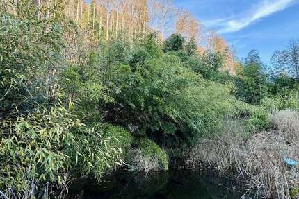 Haus Oberried - 11 Zimmer, 292 m&sup2;, 750.000&euro; | Angebot:26041027