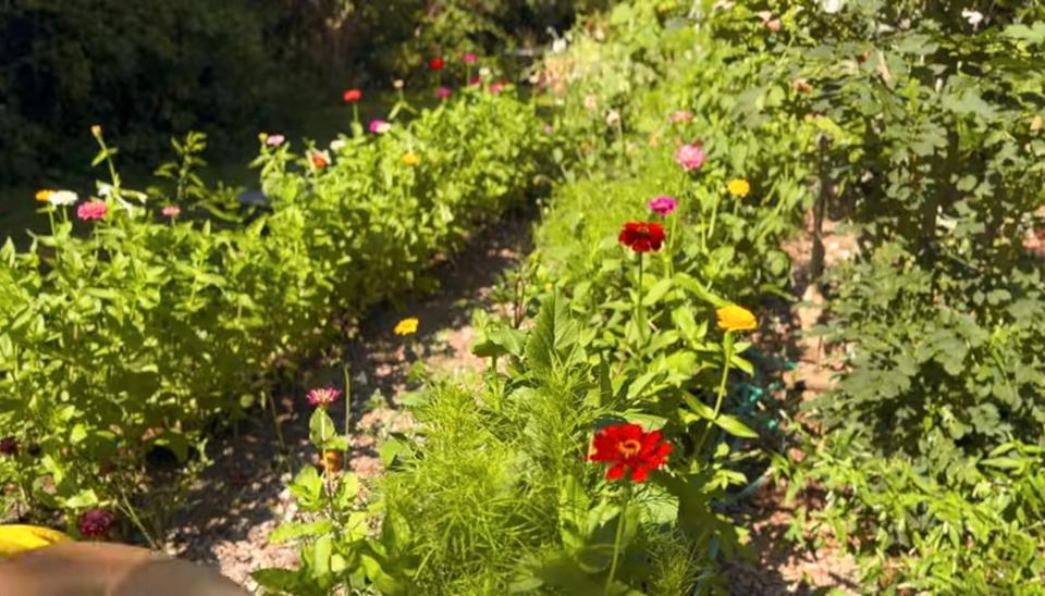 Einfamilienhaus Waldkirch - 1 Zimmer, 20 m&sup2;, 65.000&euro; | Angebot:26165020