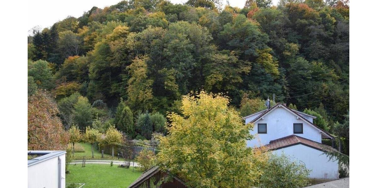 Gewerbeobjekt Münstertal/Schwarzwald Untermünstertal - 890.000&euro; | Angebot:25739566