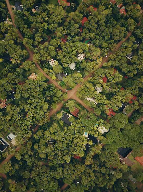 Grundstück zu verkaufen in Bad Bellingen 450.000 € 520 m²
