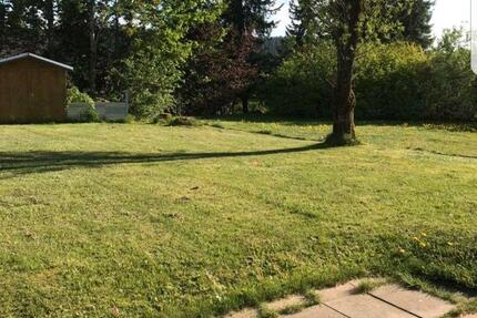 PROVISIONSFREI! 2-Zimmer Wohnung in 78120 Furtwangen zu verkaufen 2 zimmer