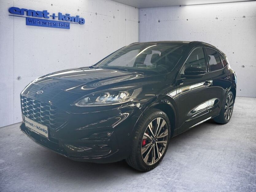 Kuga