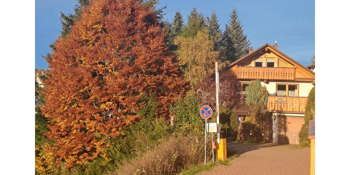 Einfamilienhaus Furtwangen im Schwarzwald - 13 Zimmer, 300 m&sup2;, 395.000&euro; | Angebot:27140838