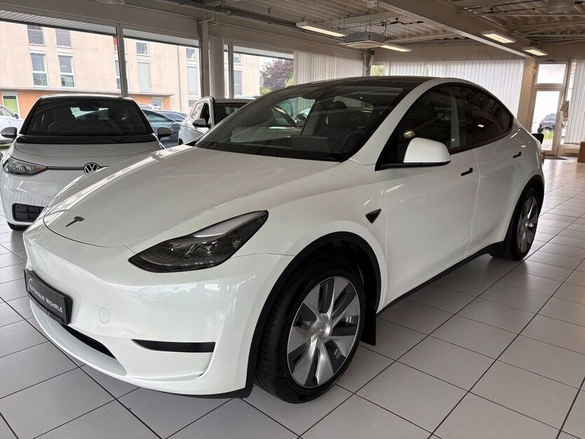 Model Y