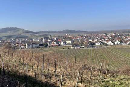 Grundstück Jechtingen Jechtingen - 11.700&euro; | Angebot:19797877