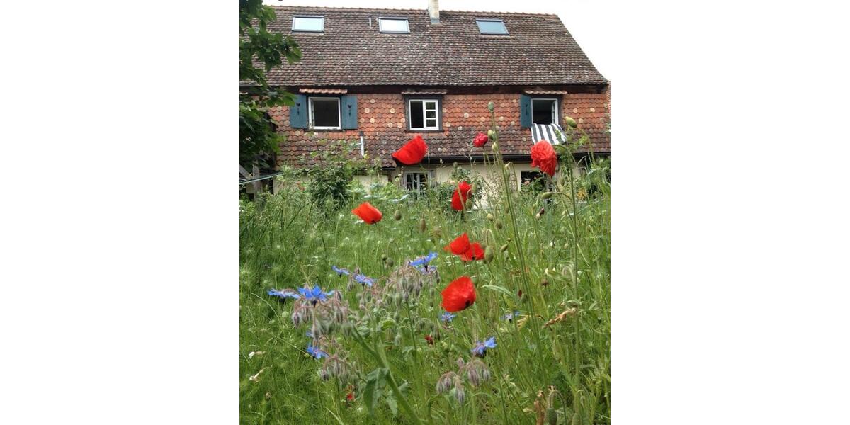 Etagenwohnung Breisach am Rhein - 1 Zimmer, 30 m&sup2;, 450&euro; | Angebot:25713670