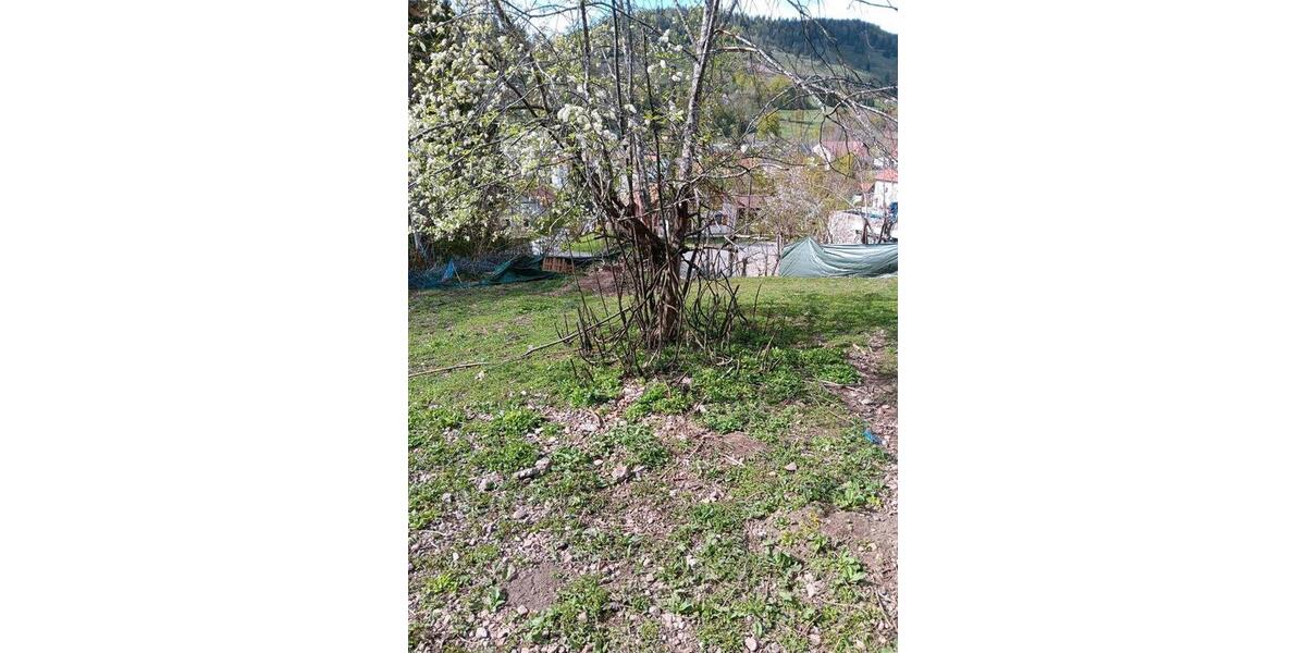 Einfamilienhaus Freiburg im Breisgau Brühl - 235.000&euro; | Angebot:26223030