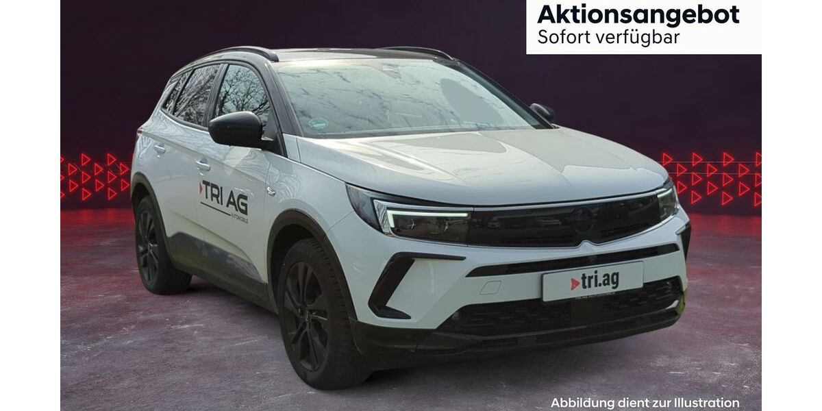 Opel Grandland (X) 10.850 km 21.870 &euro; Emmendingen 79312