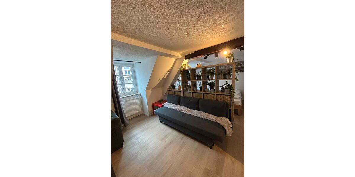 Dachgeschoßwohnung Freiburg im Breisgau - 1 Zimmer, 28 m&sup2;, 999&euro; | Angebot:24868663