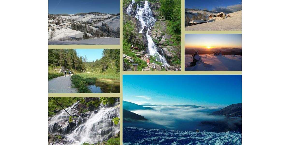 Etagenwohnung Todtnauberg Büreten - 2 Zimmer, 65 m&sup2;, 600&euro; | Angebot:24554969