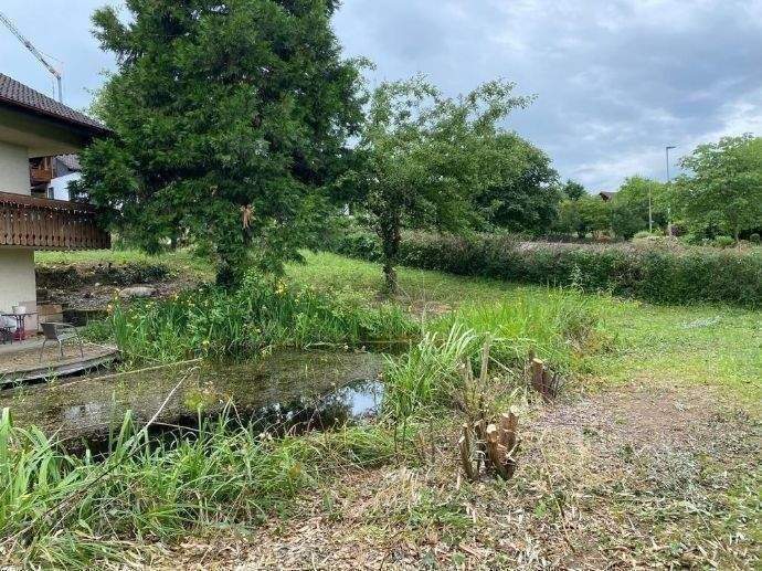 Grundstück Müllheim - 254.000&euro; | Angebot:25631571