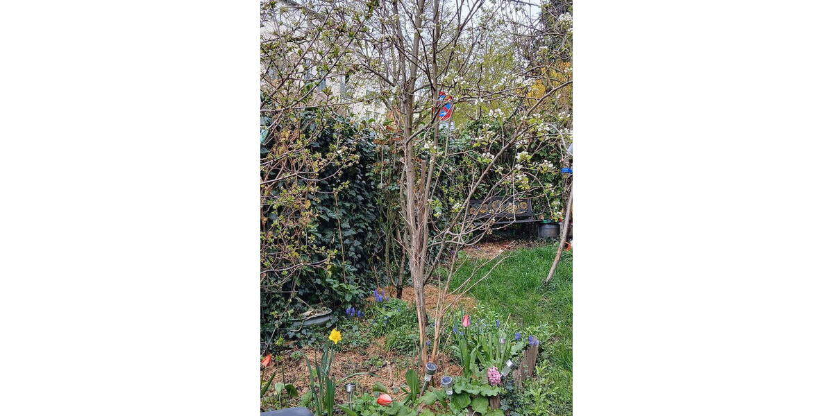 Etagenwohnung Freiburg Wiehre - 3 Zimmer, 88 m&sup2;, 695.000&euro; | Angebot:25957450