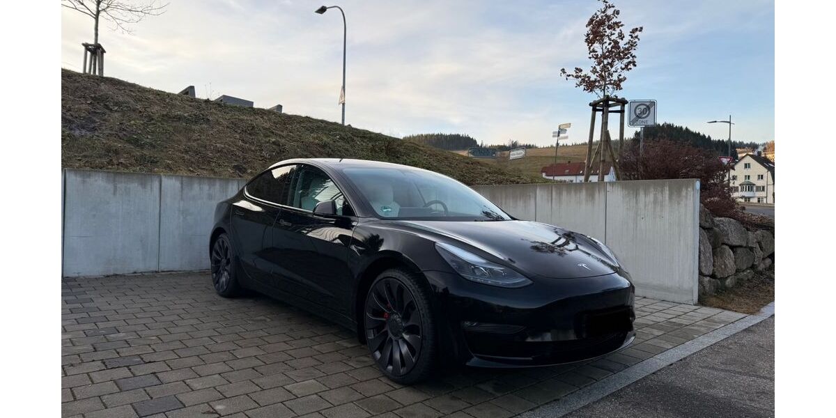 Tesla Model 3 98.800 km 29.900 &euro; Furtwangen 78120