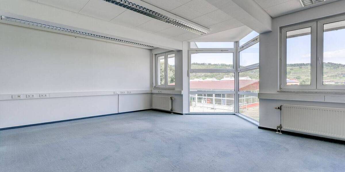 Gewerbeobjekt Ihringen / Wasenweiler Wasenweiler - 1.350.000&euro; | Angebot:26455305