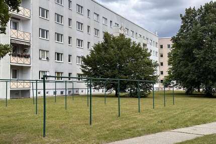 Wohnung zum Mieten in Bad Düben 413,40 € 68.9 m²