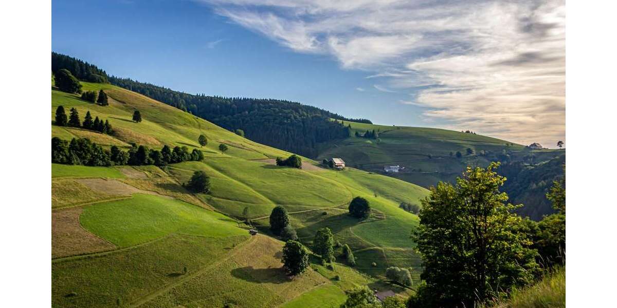 Gastronomie in Freiburg 690.000 € 550 m² zimmer