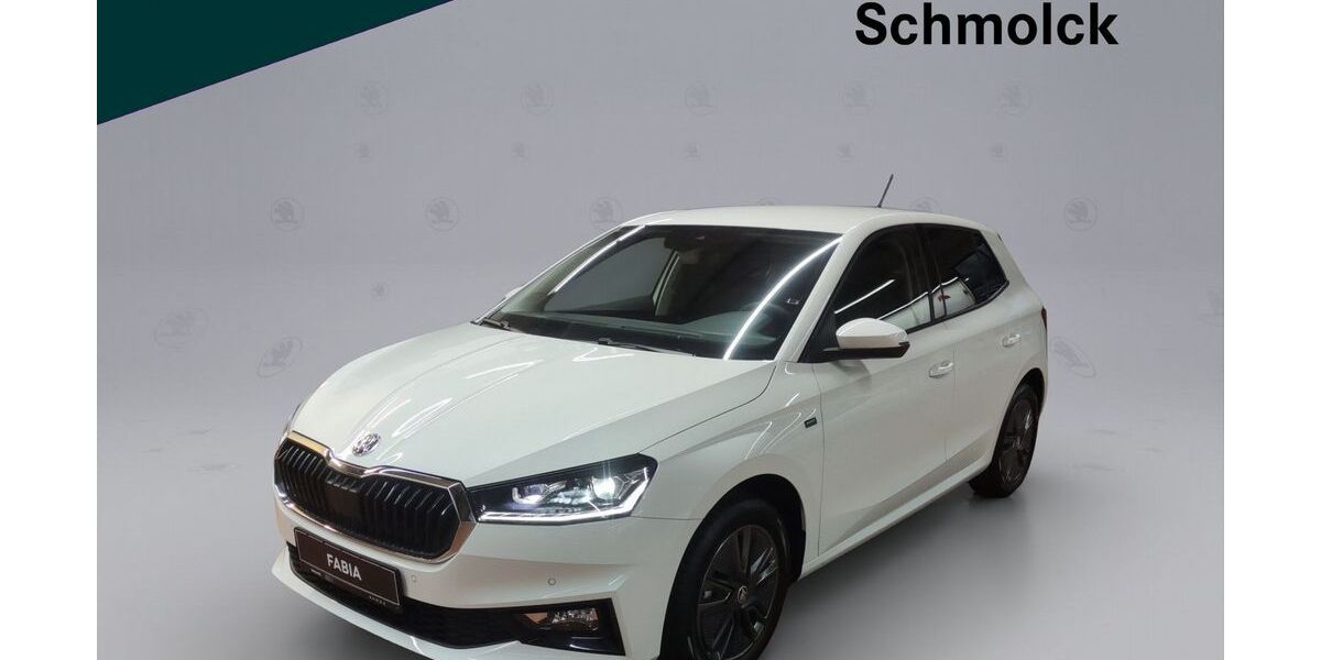 Skoda Fabia 8.000 km 17.890 &euro; Emmendingen 79312