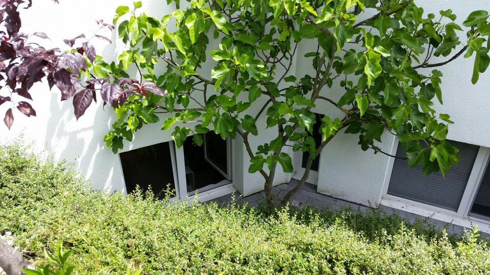 Maisonettenwohnung Freiburg im Breisgau Betzenhausen - 5 Zimmer, 110 m&sup2;, 623.000&euro; | Angebot:27120865