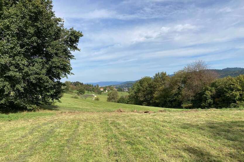 Grundstück zu verkaufen in Wittnau 900.000 € 1458 m²