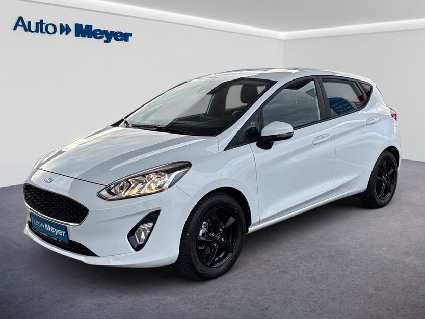 Ford Fiesta 89.019 km 9.900 € Endingen am Kaiserstuhl 79346