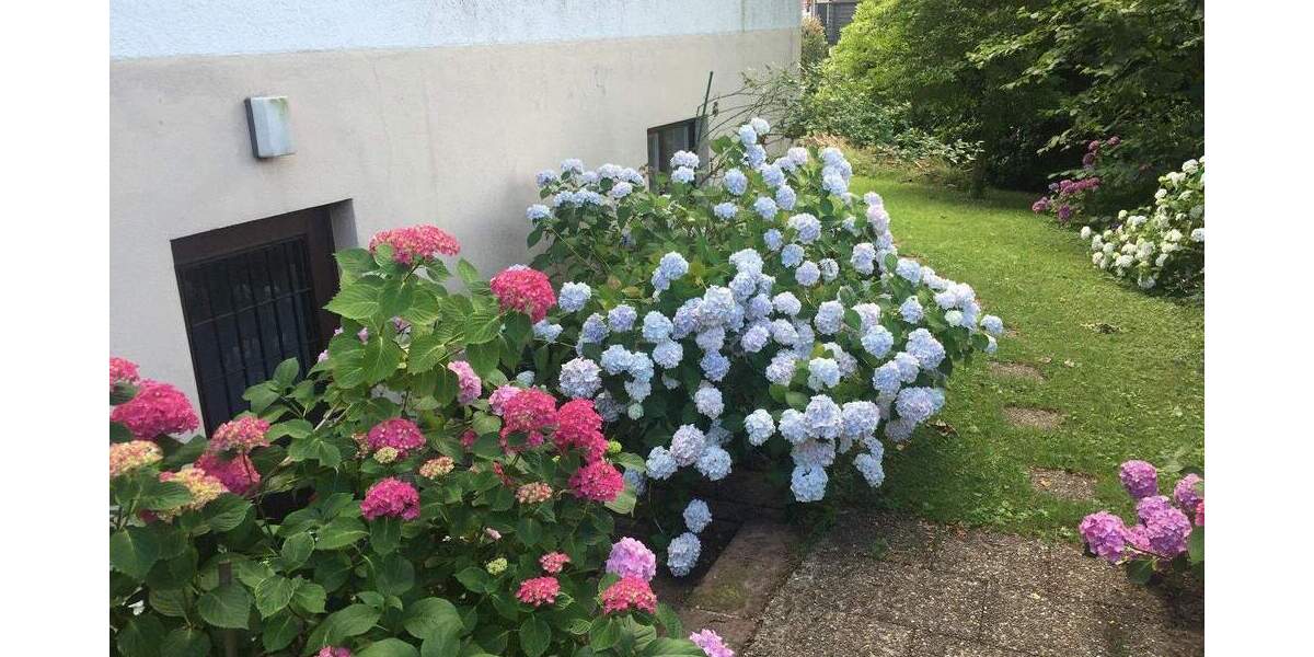 Mehrfamilienhaus, Wohnhaus Freiburg Günterstal - 1 Zimmer, 356 m&sup2;, 1.195.000&euro; | Angebot:25784556