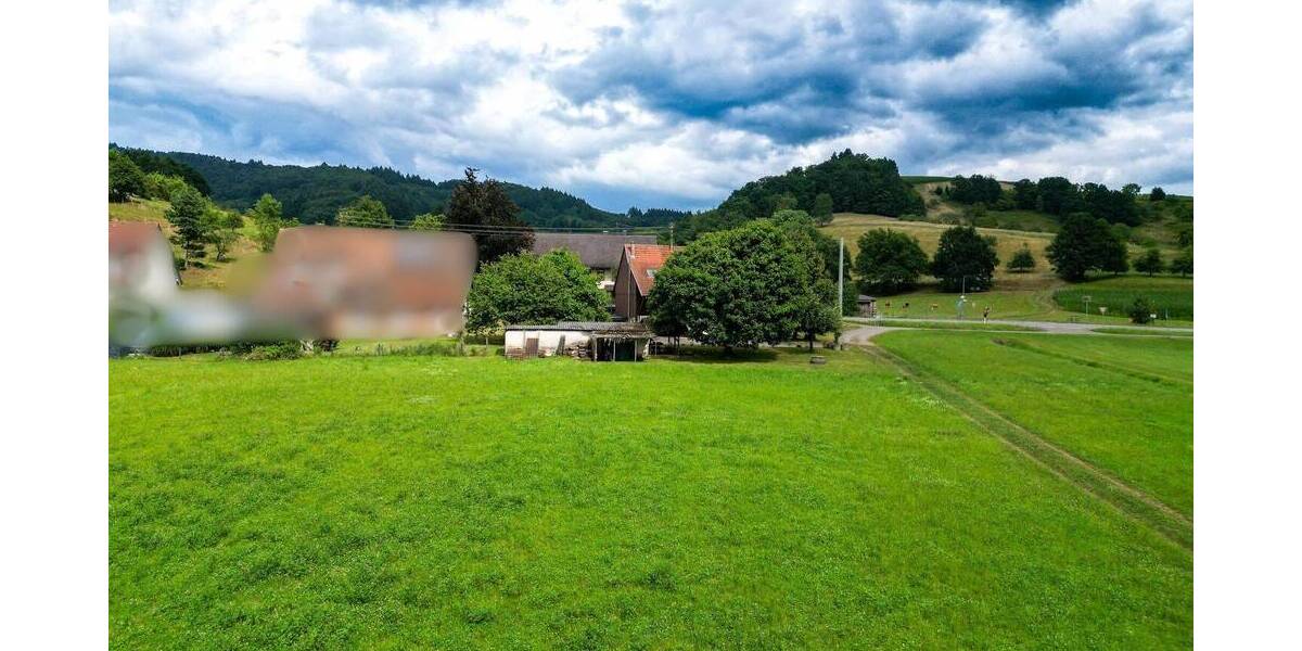 Großzügiges Baugrundstück mit Wiesengrundstücken und Wohnhaus in idylischer Lage von Sexau zimmer