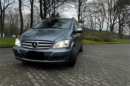 Mercedes Viano