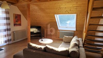 OBJEKT MIT FLEXIBLEN VERMIETUNGSKONZEPTEN - Mehrfamilienhaus, Wohnhaus Feldberg | Angebot:25086121