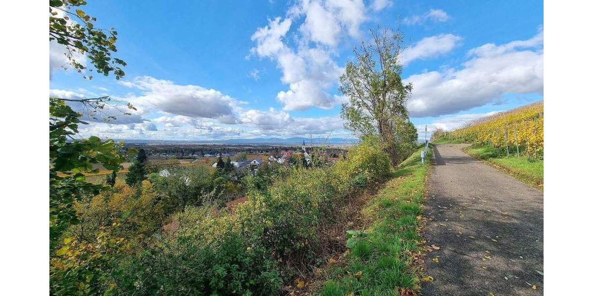 Einfamilienhaus Ballrechten-Dottingen Ballrechten - 9 Zimmer, 300 m&sup2;, 698.000&euro; | Angebot:25865097