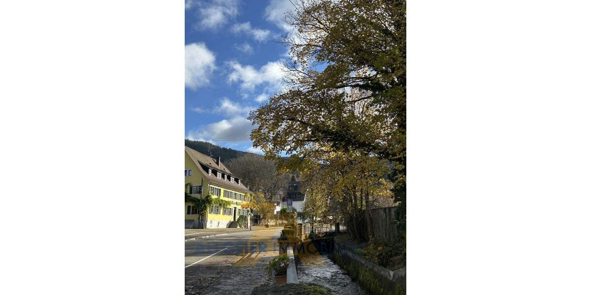 Etagenwohnung Freiburg im Breisgau Günterstal - 3 Zimmer, 113 m&sup2;, 860.000&euro; | Angebot:24825733