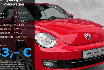 VW Beetle 89.800 km 13.680 € Todtnau 79674