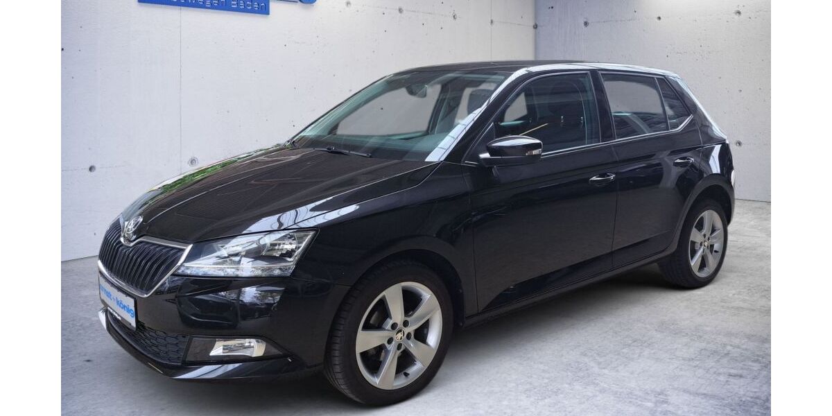 Skoda Fabia 21.204 km 13.450 &euro; Teningen-Köndringen 79331