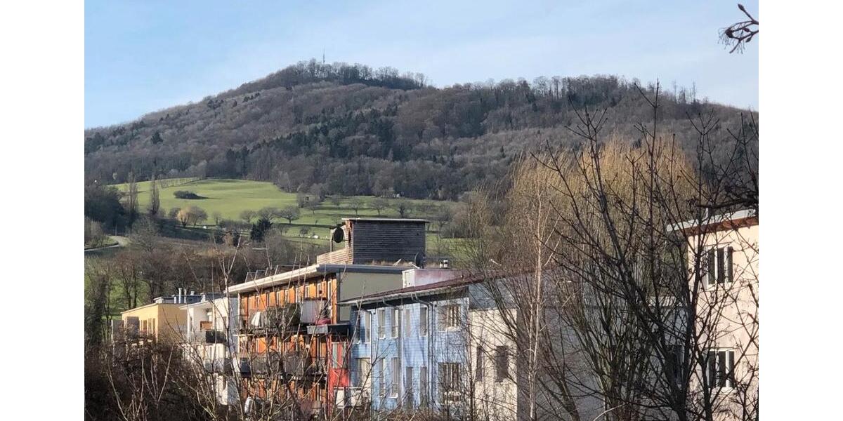 Etagenwohnung Freiburg im Breisgau Günterstal - 2 Zimmer, 51 m&sup2;, 360.000&euro; | Angebot:25904319