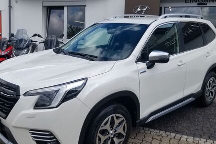 Subaru Forester 10 km 38.490 € Emmendingen-Kollmarsreute 79312