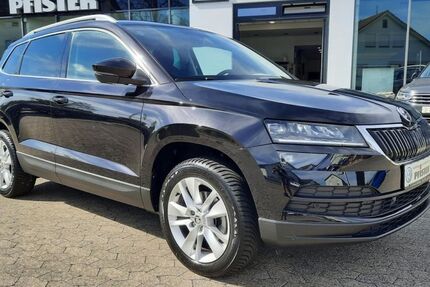 Skoda Karoq 27.000 km 23.490 &euro; Neuenburg am Rhein 79395