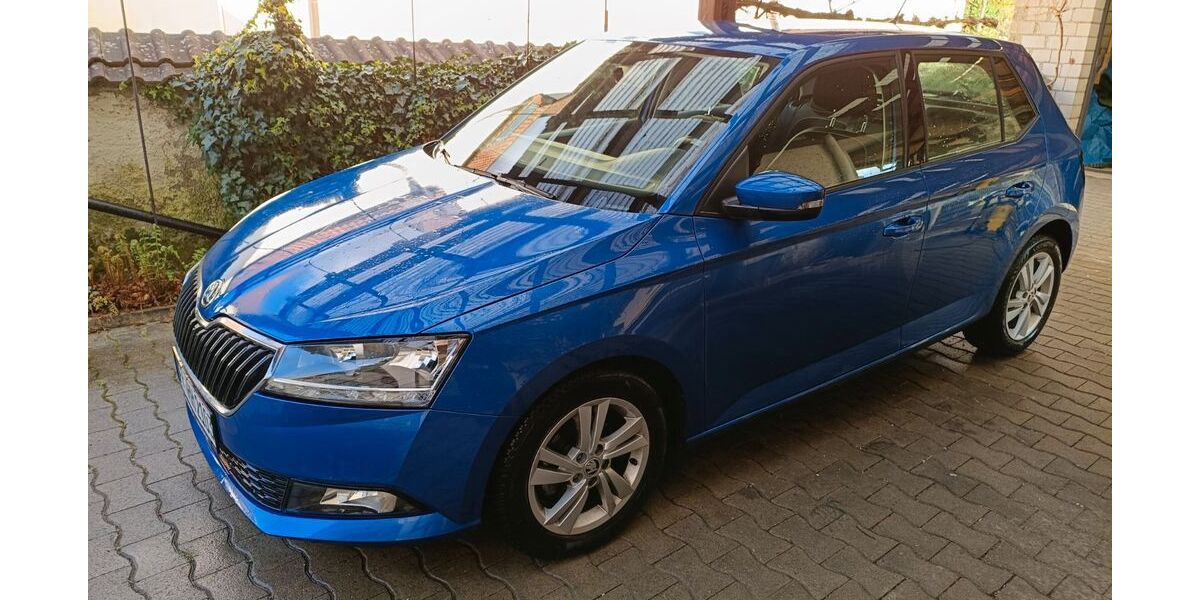 Skoda Fabia 10.000 km 14.850 &euro; Vogtsburg 79235