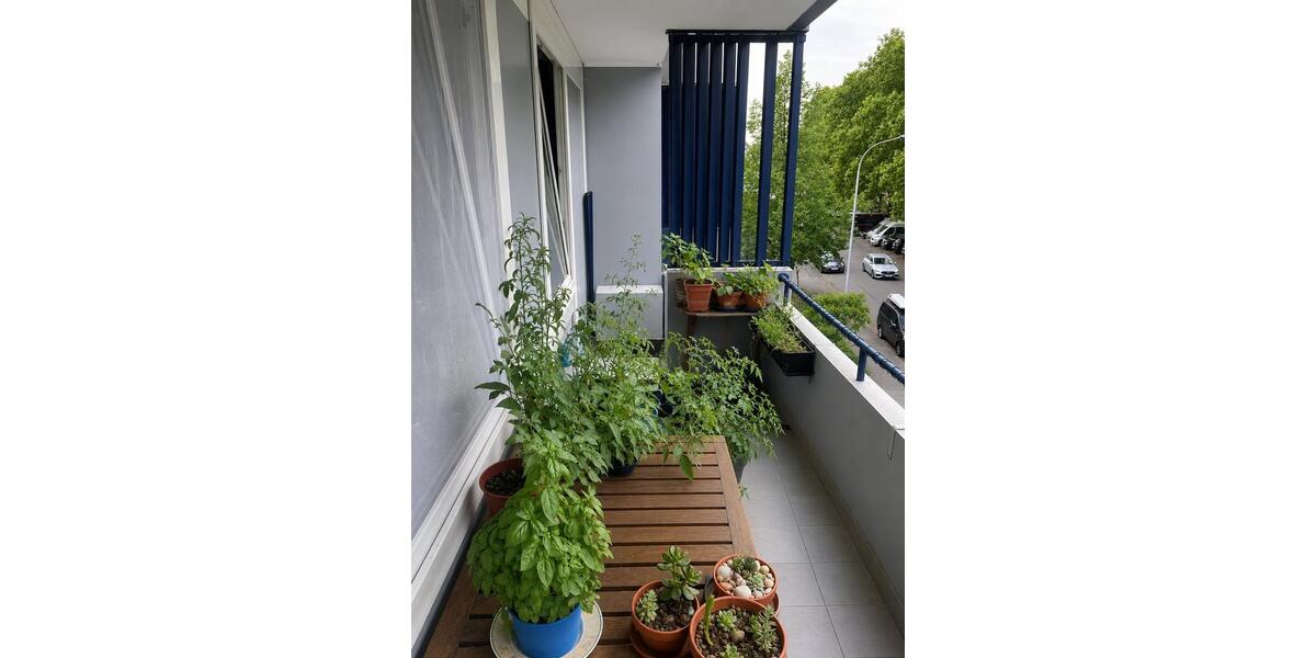 Etagenwohnung Freiburg im Breisgau Betzenhausen - 1 Zimmer, 37 m&sup2;, 212.700&euro; | Angebot:27071573