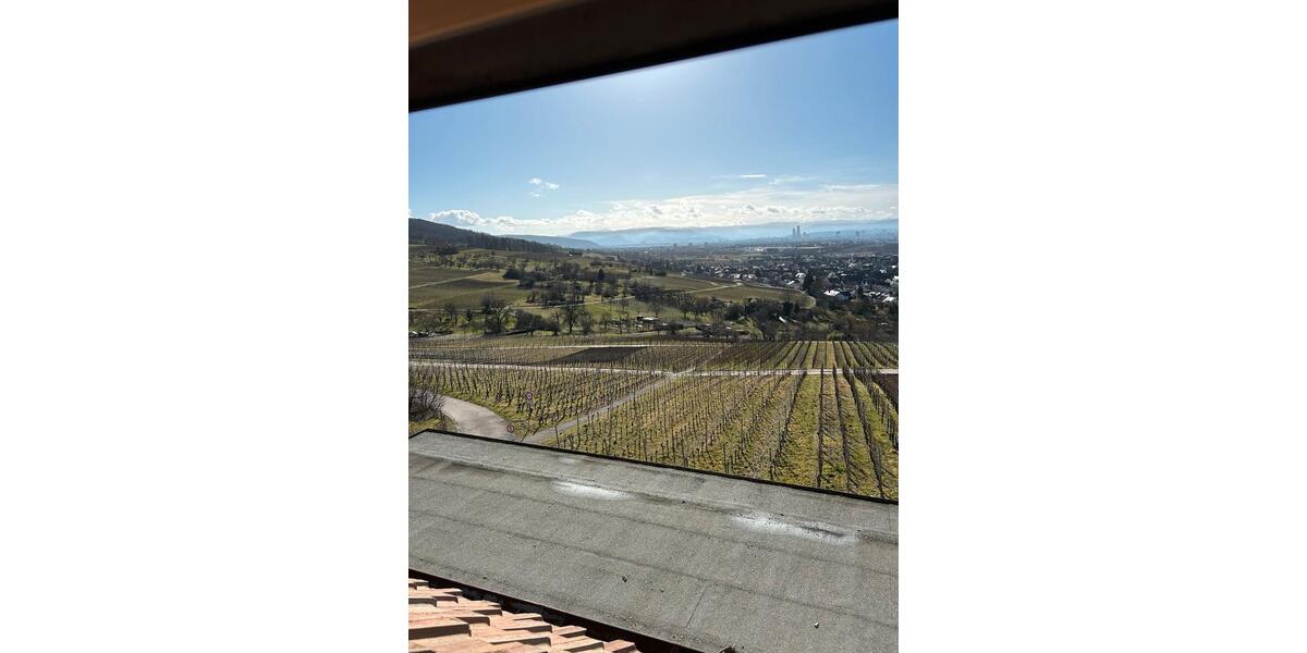 Etagenwohnung Auggen - 1 Zimmer, 25 m&sup2;, 400&euro; | Angebot:25248082