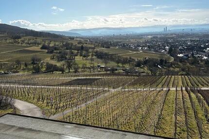 Wohnung Auggen - 1 Zimmer, 25 m&sup2;, 400&euro; | Angebot:25248082