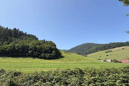 Haus Freiburg-Kappel Kappel - 9 Zimmer, 175 m&sup2;, 646.000&euro; | Angebot:25233326