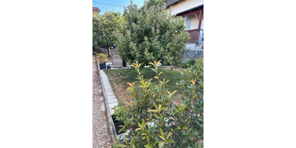 Erdgeschoßwohnung Herbolzheim - 3 Zimmer, 75 m&sup2;, 329.000&euro; | Angebot:27217679