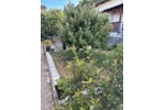 Erdgeschoßwohnung Herbolzheim - 3 Zimmer, 75 m&sup2;, 329.000&euro; | Angebot:27217679