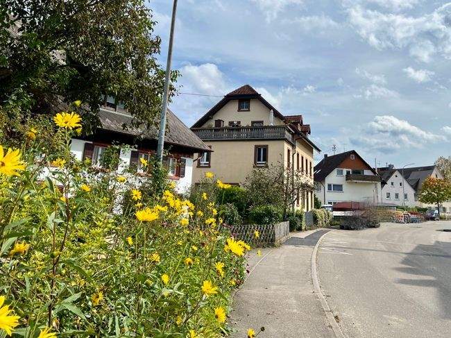 Mehrfamilienhaus, Wohnhaus Kirchzarten / Zarten Zarten - 1 Zimmer, 347 m&sup2;, 1.450.000&euro; | Angebot:24710507