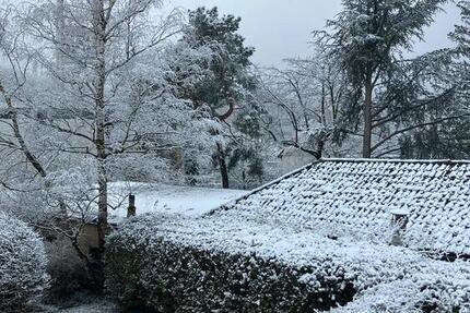 Wohnung Freiburg im Breisgau Ebnet - 3 Zimmer, 80 m&sup2;, 1.350&euro; | Angebot:24639673