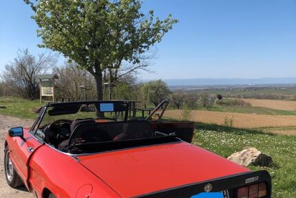 Alfa Romeo Spider 178.000 km 10.500 &euro; Breisach am Rhein 79206