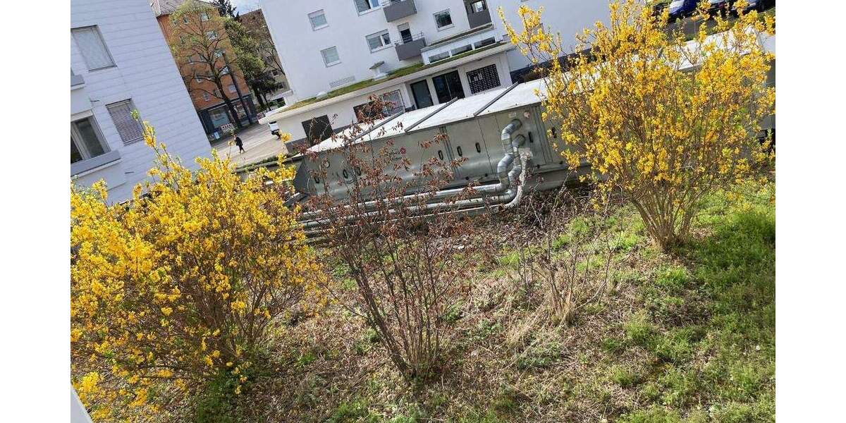 Gewerbeobjekt Freiburg im Breisgau Brühl - 550&euro; | Angebot:25084364