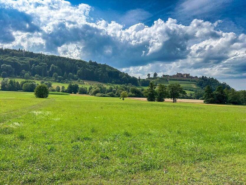 BIETERVERFAHREN: Idyllisch gelegenes Baugrundstück mit Wiesengrundstücken