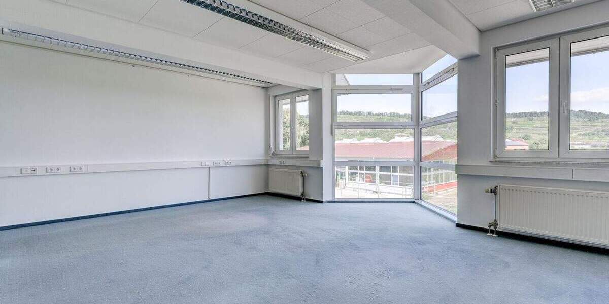 Gewerbeobjekt Ihringen / Wasenweiler Wasenweiler - 1.350.000&euro; | Angebot:25709560