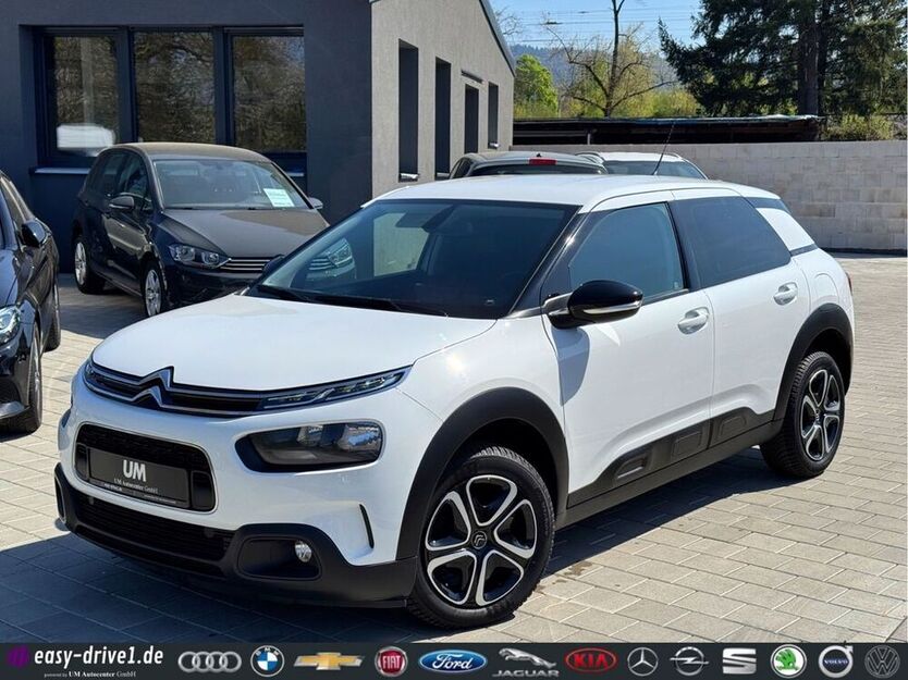 C4 Cactus